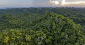 México, Guatemala y Belice crean el Corredor Biocultural de la Gran Selva Maya