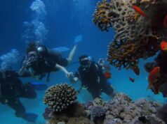 Chile - Los contratos de trabajo de buceo y actividades conexas serán regulados