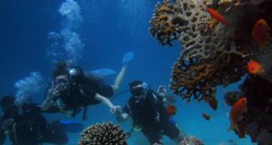 Chile - Los contratos de trabajo de buceo y actividades conexas serán regulados