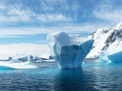 Chile – La Antártica debe ser aprovechada estratégicamente