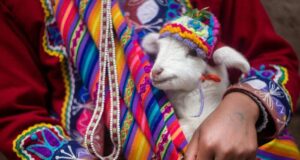 México – Revés internacional para Claudia Sheinbaum