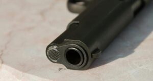 Chile – Tenencia de armas de fuego por procesados por violencia intrafamiliar-diariojuridico