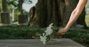 México – Narcotraficantes contra la libertad de prensa