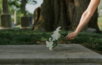 México – Narcotraficantes contra la libertad de prensa México – Narcotraficantes contra la libertad de prensa