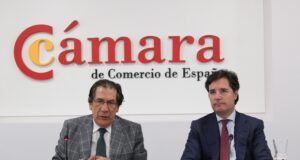 La Cámara de España analiza junto con el Tribunal Constitucional la instrucción penal de las personas jurídicas