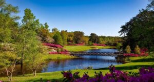 Colombia – Protección de guardaparques