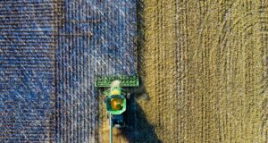 Chile - Ley marco de Suelos avanza a Hacienda