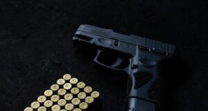 Chile – Violencia intrafamiliar prohibición de portar armas