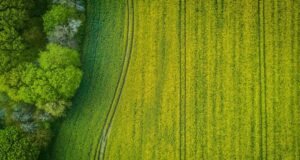 Colombia - Erradicar cultivos de coca