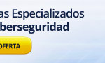 banner-iniseg