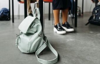 Chile – Escuelas protegidas