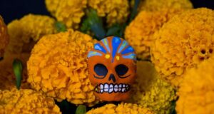 ¿Crímenes de lesa humanidad en México?