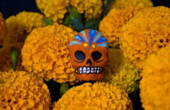 ¿Crímenes de lesa humanidad en México?