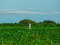 Colombia - Fracasa avance de jurisdicción agraria