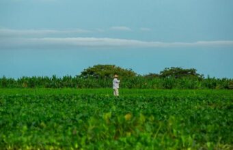 Colombia - Fracasa avance de jurisdicción agraria