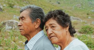 Colombia – Jurisprudencia servicio de cuidadores