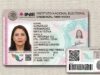 México – Corrupción en el Instituto Nacional Electoral